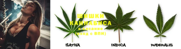 прущие крисы Карпинск