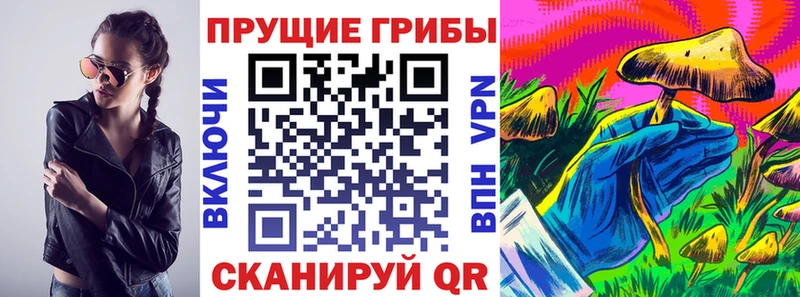 ссылка на мегу купить сайты Могоча Псилоцибиновые грибы мицелий